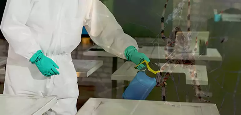 Why Buyers Still Want Homes With Pest Infestations in Salt Lake City, UT?