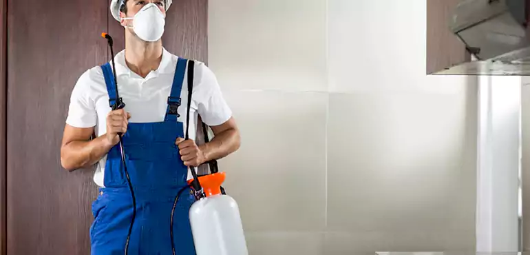 Why Salt Lake City Homeowners Choose Us When Pests Make Selling Difficult