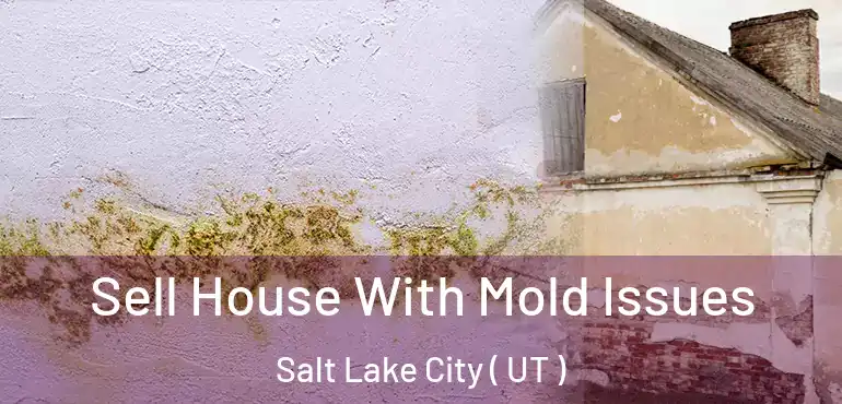  Sell House With Mold Issues Salt Lake City ( UT )
